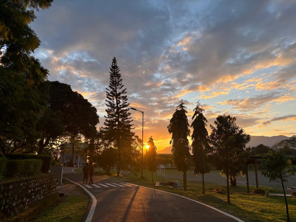 whatsapp image 2025 11 20 at 3.18.34 pm