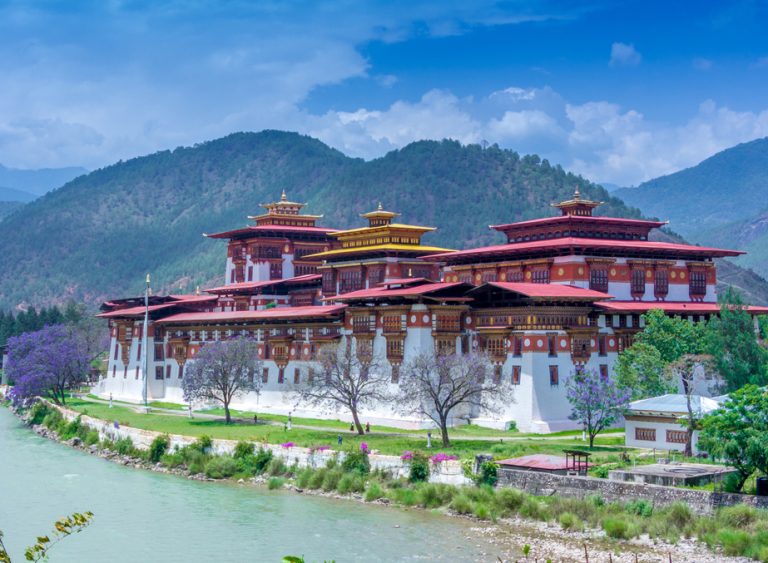 punakha in june boxx