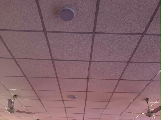 The existing grid-tile ceiling with fans